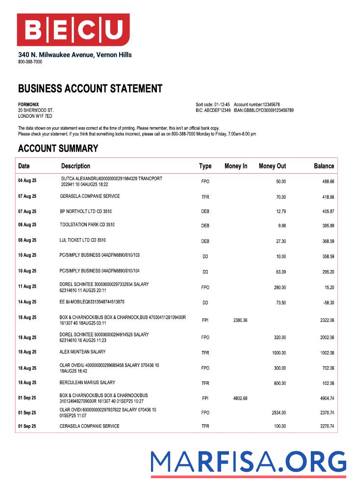 Realistic USA BECU organization statement Word and PDF template